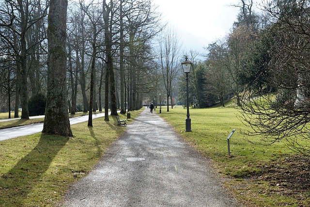 baden-baden-2080566_640